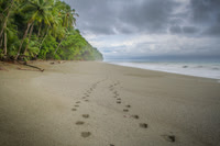 Osa Peninsula