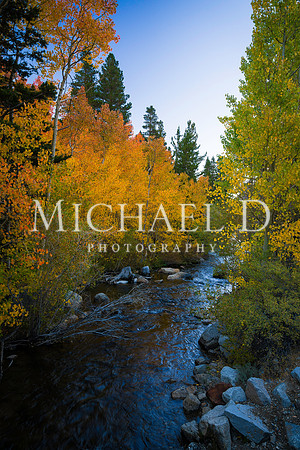 Bishop Creek Fall Colors 2015