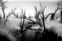 Owens River