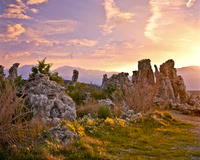 Mono Lake Purple Sunset