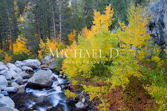 Bishop Creek Fall Colors 2